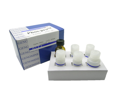 kit-01.jpg