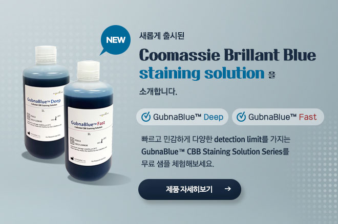 새롭게 출시된 Coomassie Brillant Blue staining solution을 소개합니다.