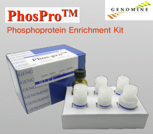 PhosPro™ Kit