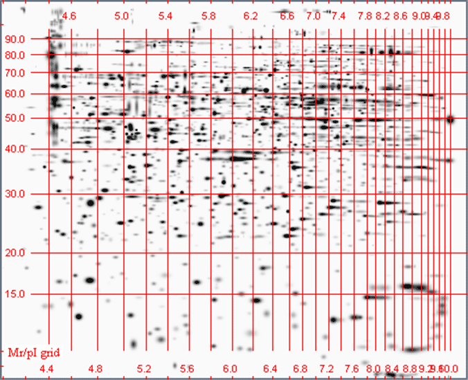 human t-cells (drystrip™ph4-10nl)