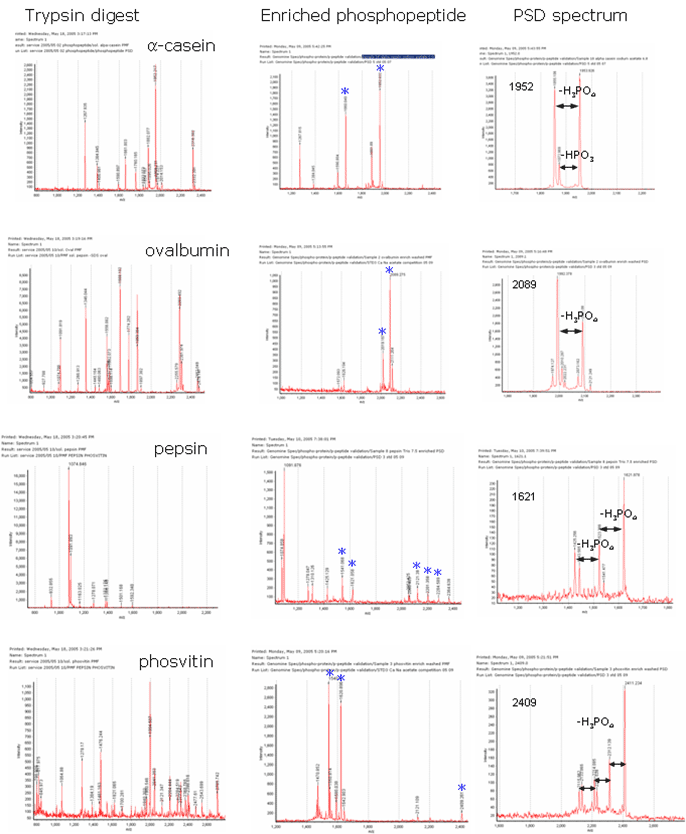 Phosphopeptide enrichment from trypsin digest of phosphoprotein