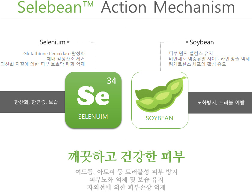 Selebean™