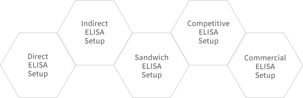 Custom ELISA