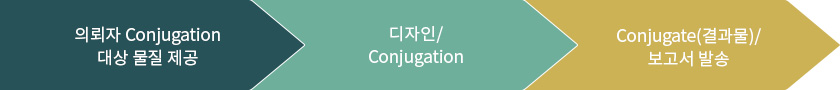 Custom Conjugation