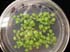 gir111645