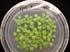 gir112042