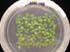 gir112328