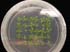 gir112707