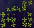 GIR102873