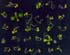 GIR103460