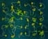 GIR103471