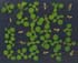 GIR104430