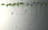 GIR108723