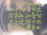 GIR110032