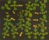 GIR105057