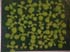 GIR108474