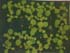 GIR108480