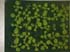 GIR108541