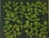 GIR108555