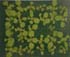 GIR108611