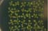 GIR108723