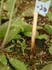 GIR110820