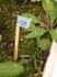 GIR110827