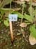 GIR110830